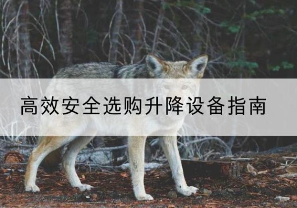 醴陵升降货梯厂家推荐-*安全选购升降设备指南