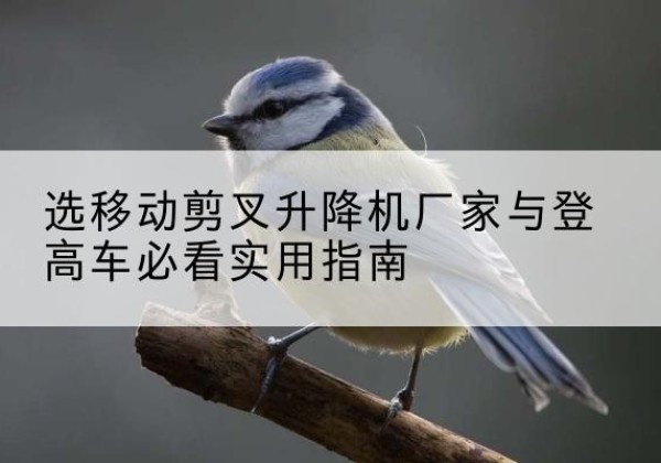醴陵电动升降机厂家-选移动剪叉升降机厂家与登高车必看实用指南