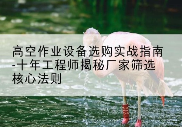 醴陵剪叉式升降机厂家-高空作业设备选购实战指南-十年工程师揭秘厂家筛选核心法则