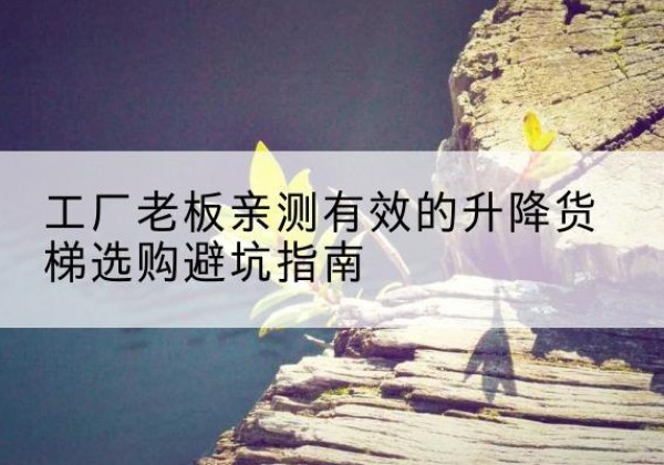醴陵升降货梯怎么选-工厂老板亲测有效的升降货梯选购避坑指南